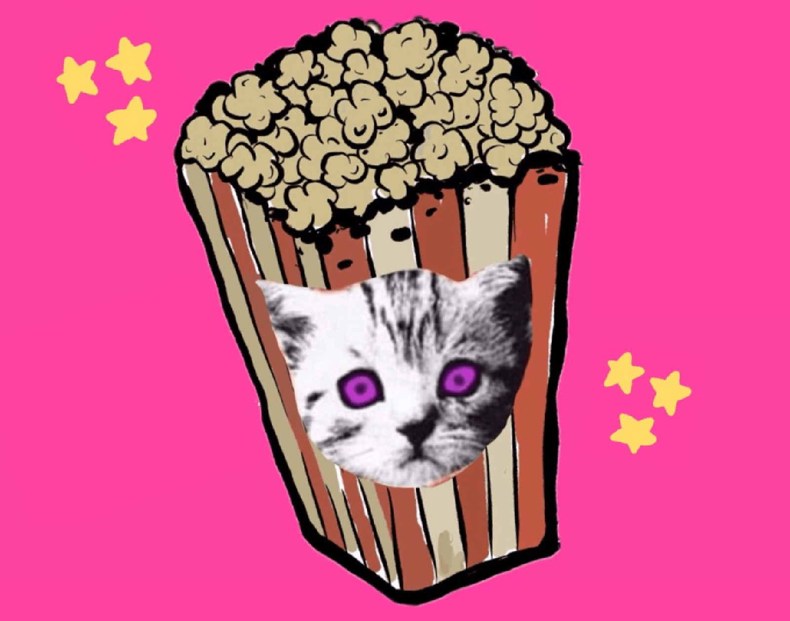 Nottingham Light Night 2026 : KittyArama AV Show by Stiff Kittens